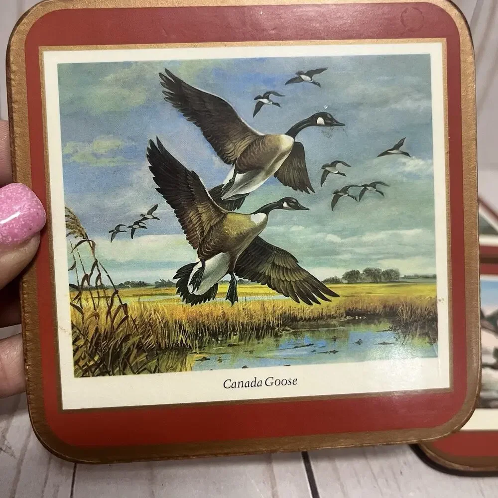 PIMPERNEL Game Birds Duck Mallard Goose 4